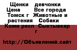 Щенки - девчонки › Цена ­ 2 - Все города, Томск г. Животные и растения » Собаки   . Коми респ.,Сыктывкар г.